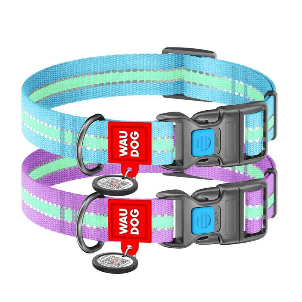 Glow in the Dark Nylon Dog Collar Blue C5915