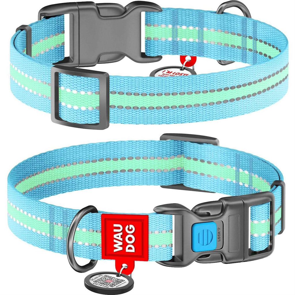 Glow in the Dark Nylon Dog Collar Blue C5915