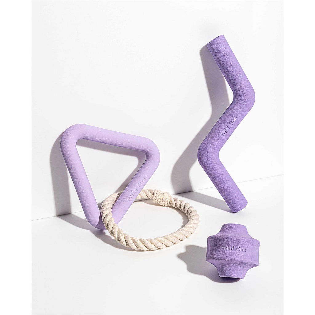 Dog Toy W55633