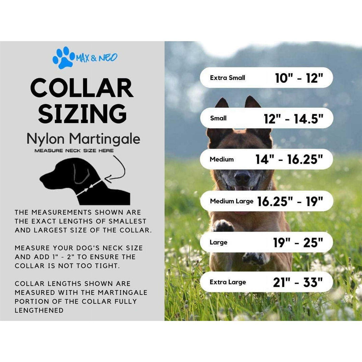 Nylon Martingale Collar L61075