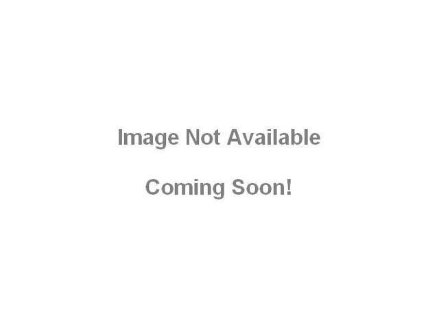 2MP IR Bullet Network Camera L1558
