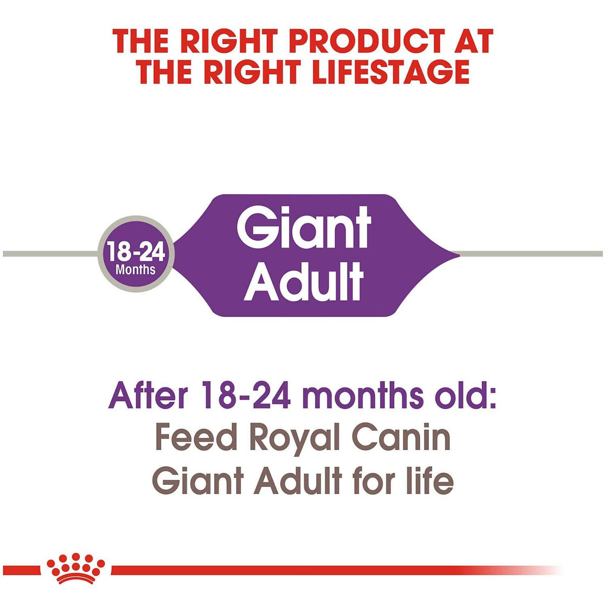 Adult Dog Food U3740