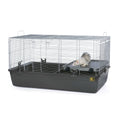 Small Animal Home S867