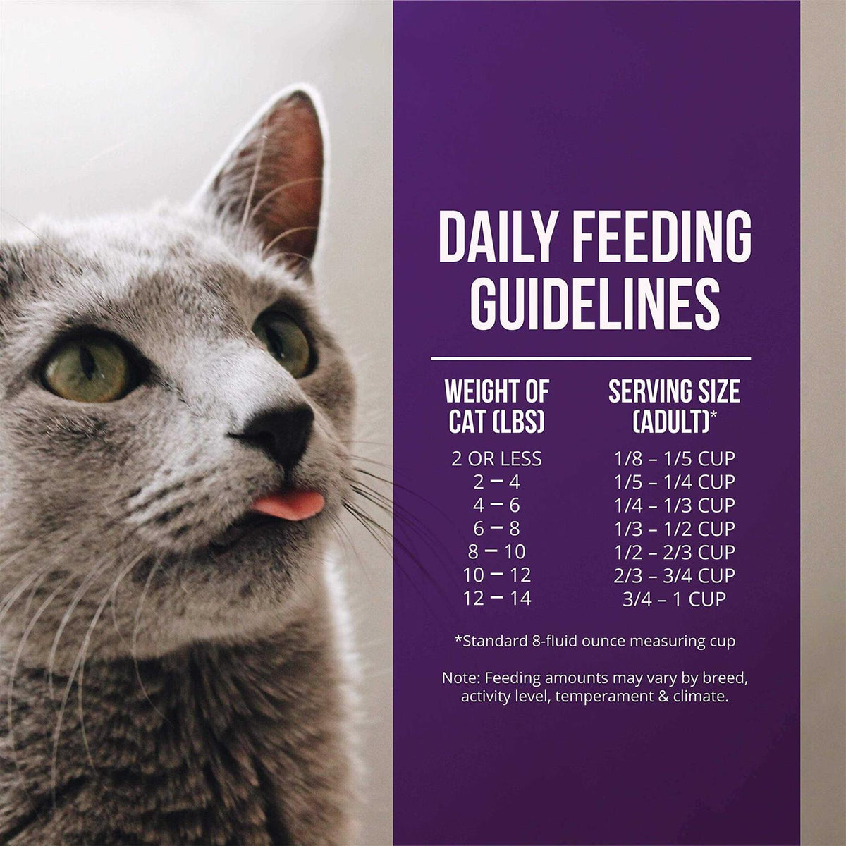 Quail & Duck Meal Dry Cat Food N401