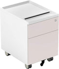 2 Drawer Metal File Cabinet with Lock and Casters A17375