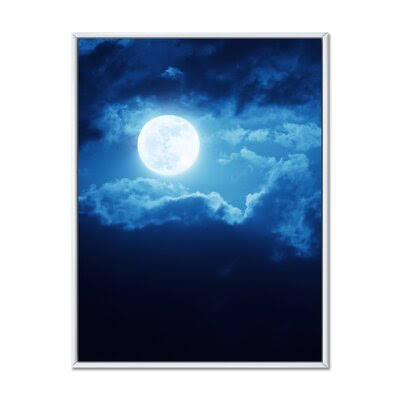 Photograph on Canvas White Floater Frame 32x22 H x 24x22 W W3286