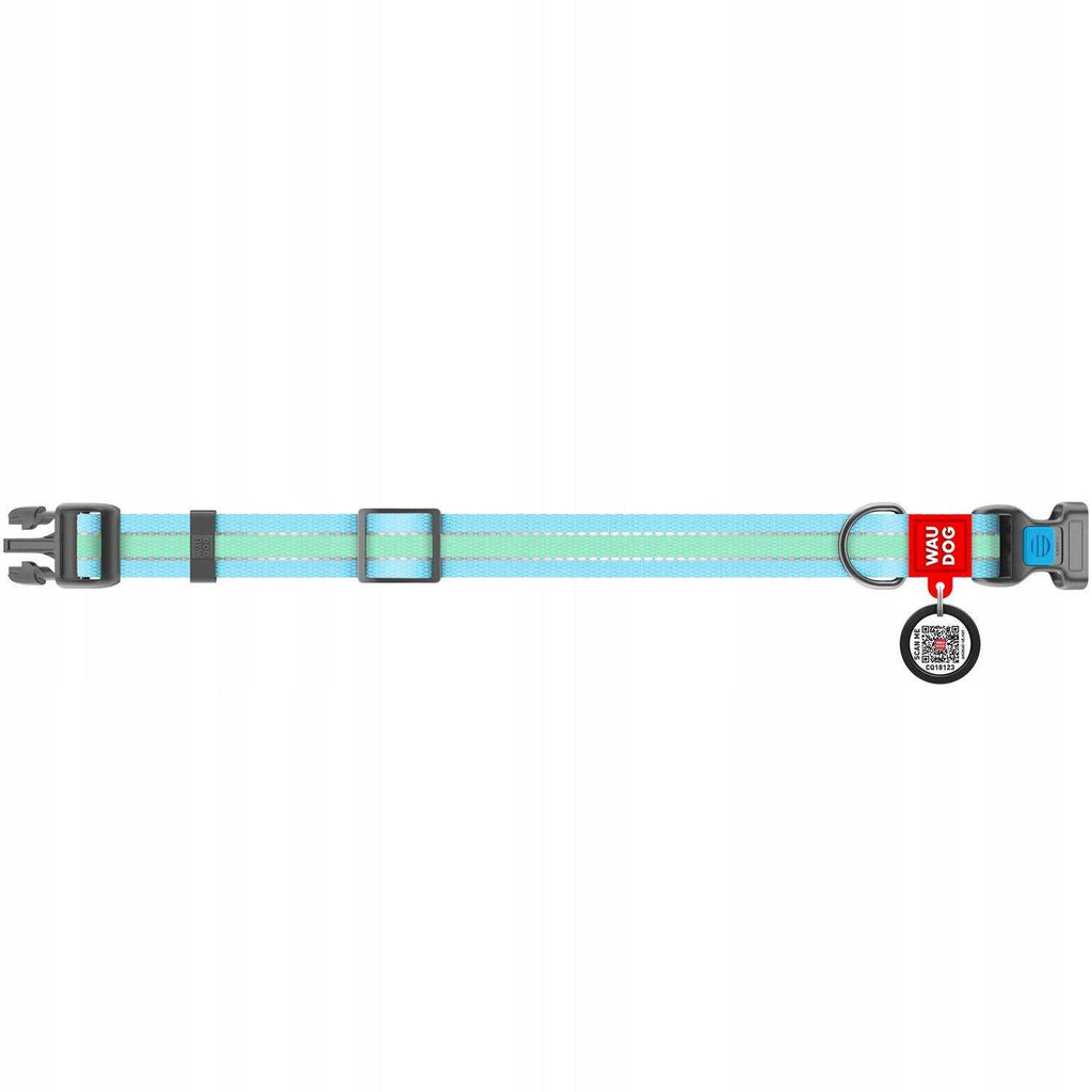 Glow in the Dark Nylon Dog Collar Blue C5915