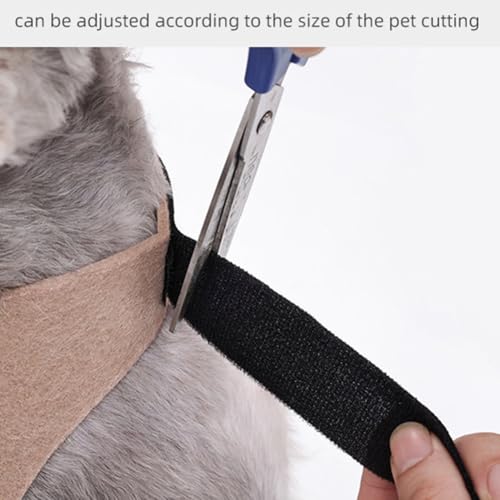 Dog Halloween Spider Costume with Adjustable Fasteners V990