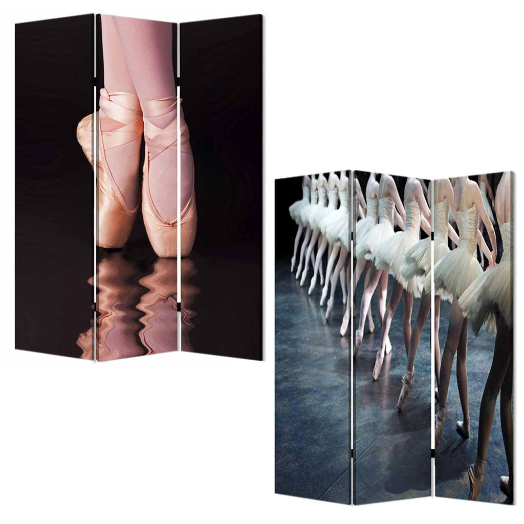 Multi Color Wood Canvas Ballet Screen Y536