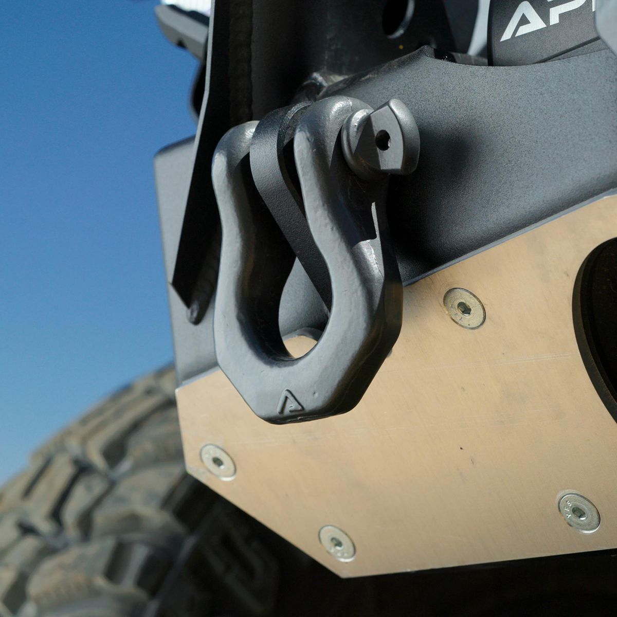 3/4 in. D-Ring Shackle D229216