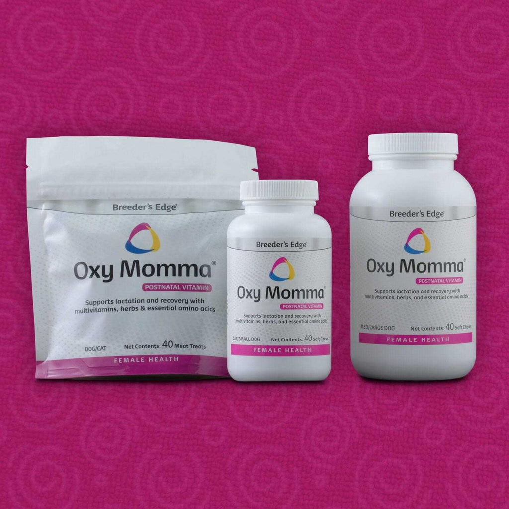 Nursing & Recovery Supplement Z4253