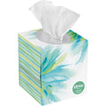 White 2-Ply Facial Tissue, 65 Sheets/Box, 27 Boxes/Carton G32172