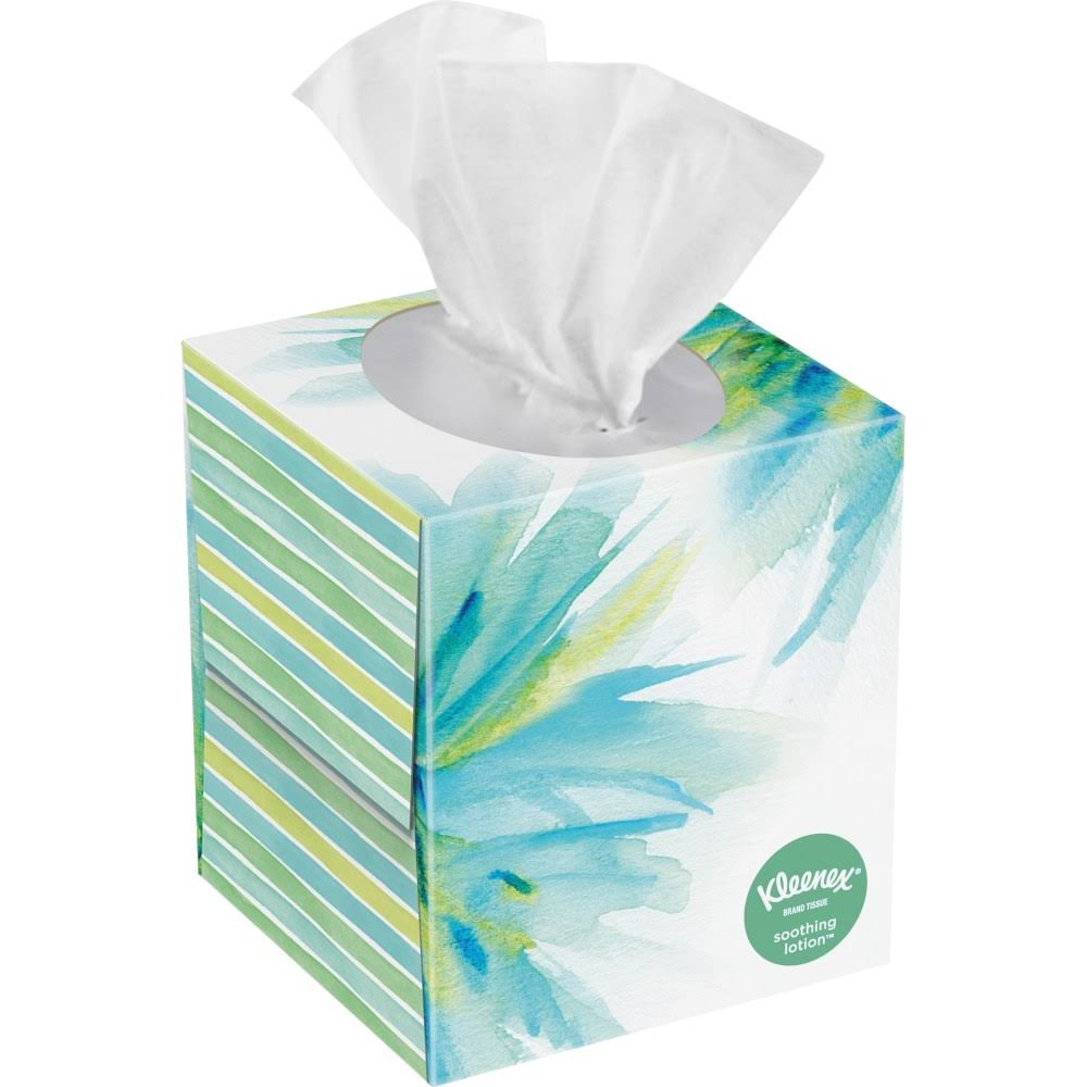 White 2-Ply Facial Tissue, 65 Sheets/Box, 27 Boxes/Carton G32172
