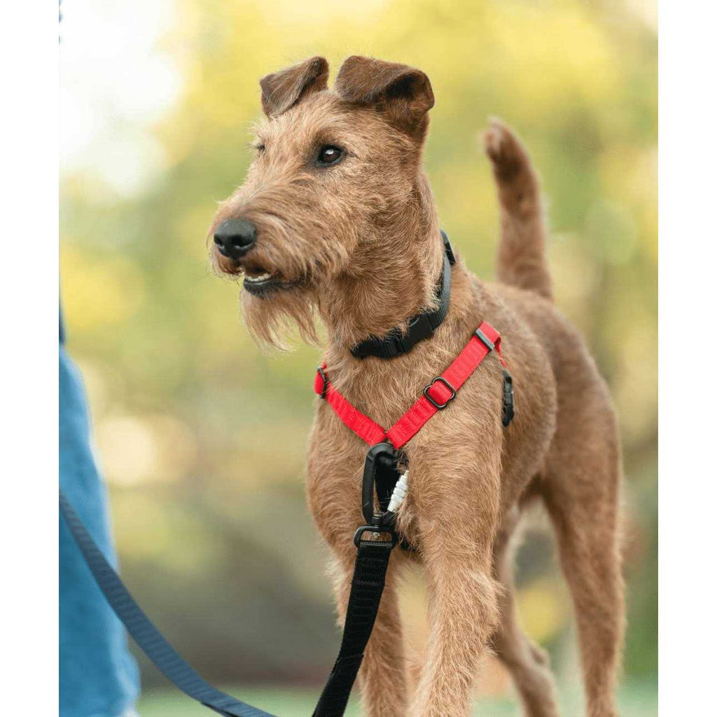 No-Pull Dog Harness N74960