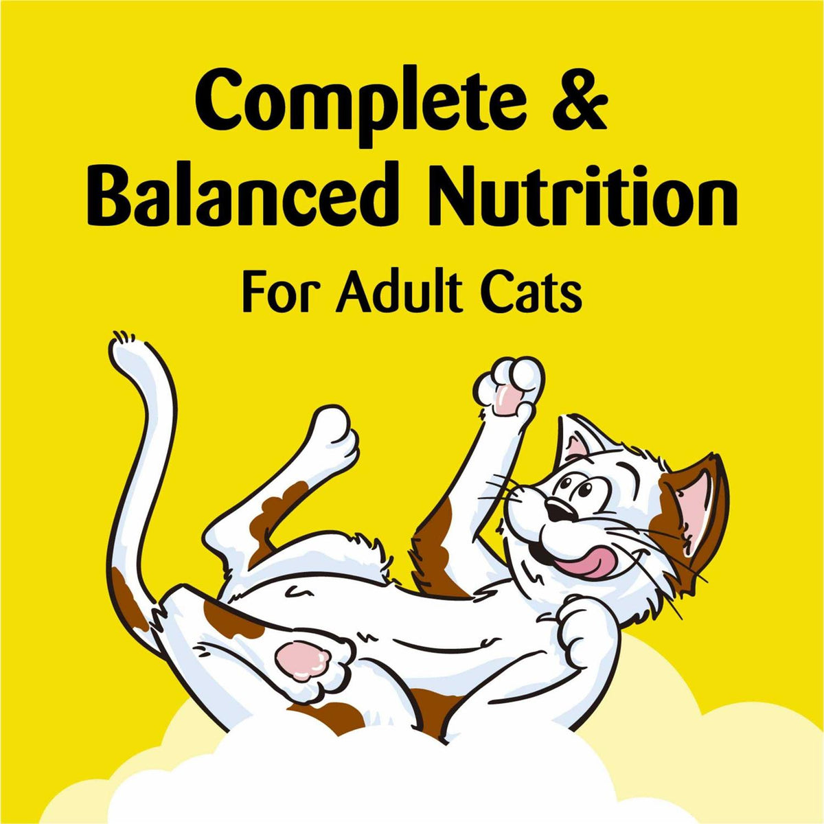Soft & Crunchy Cat Treats F39455