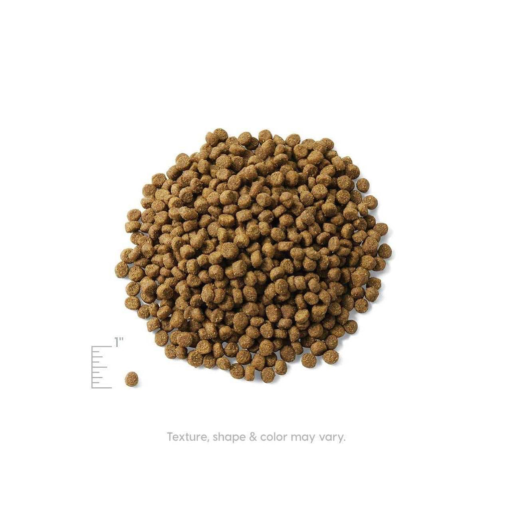 Solid Gold Indoor Lentil & Apple Recipe Grain-Free Dry Cat Food T462
