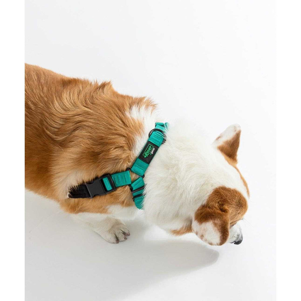 No-Pull Dog Harness N74960