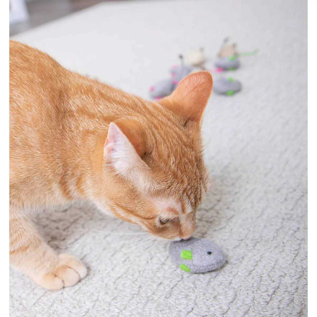 Catnip Toys Q227