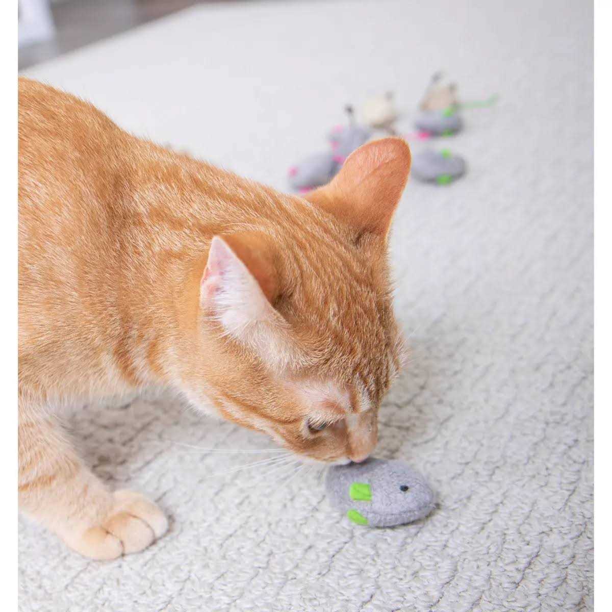 Catnip Toys Q227