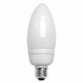 13W 120V Replacement Bulb F2594