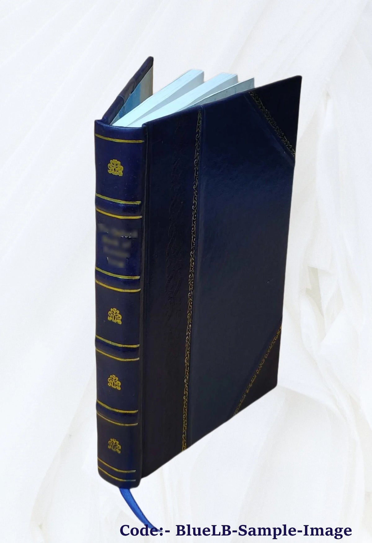 Leather Bound Book T9341