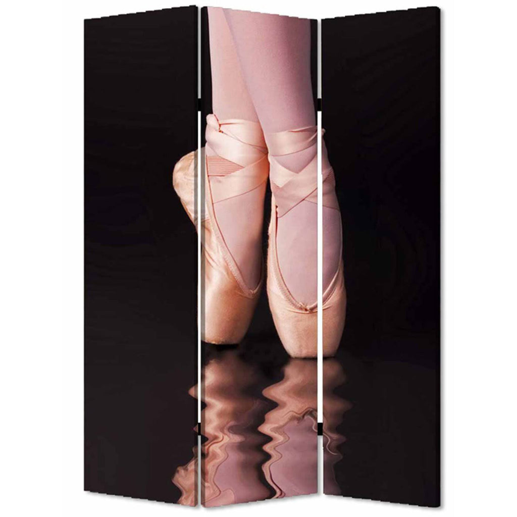 Multi Color Wood Canvas Ballet Screen Y536