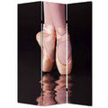 Multi Color Wood Canvas Ballet Screen Y536
