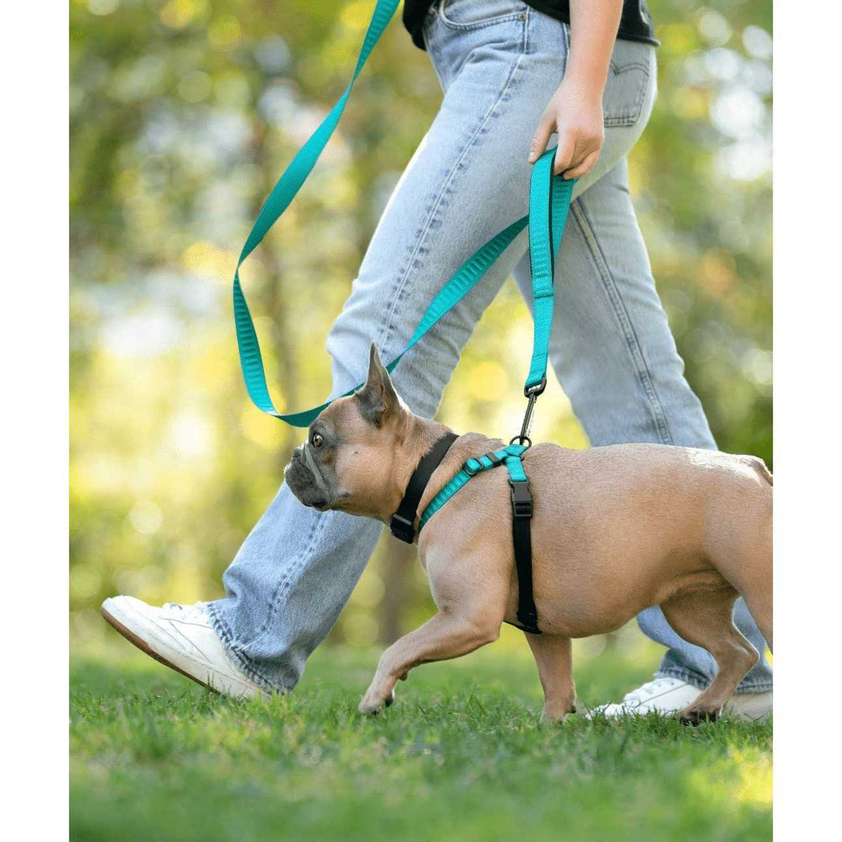 No-Pull Dog Harness N74960