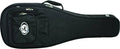 Acoustic Guitar Case F7796