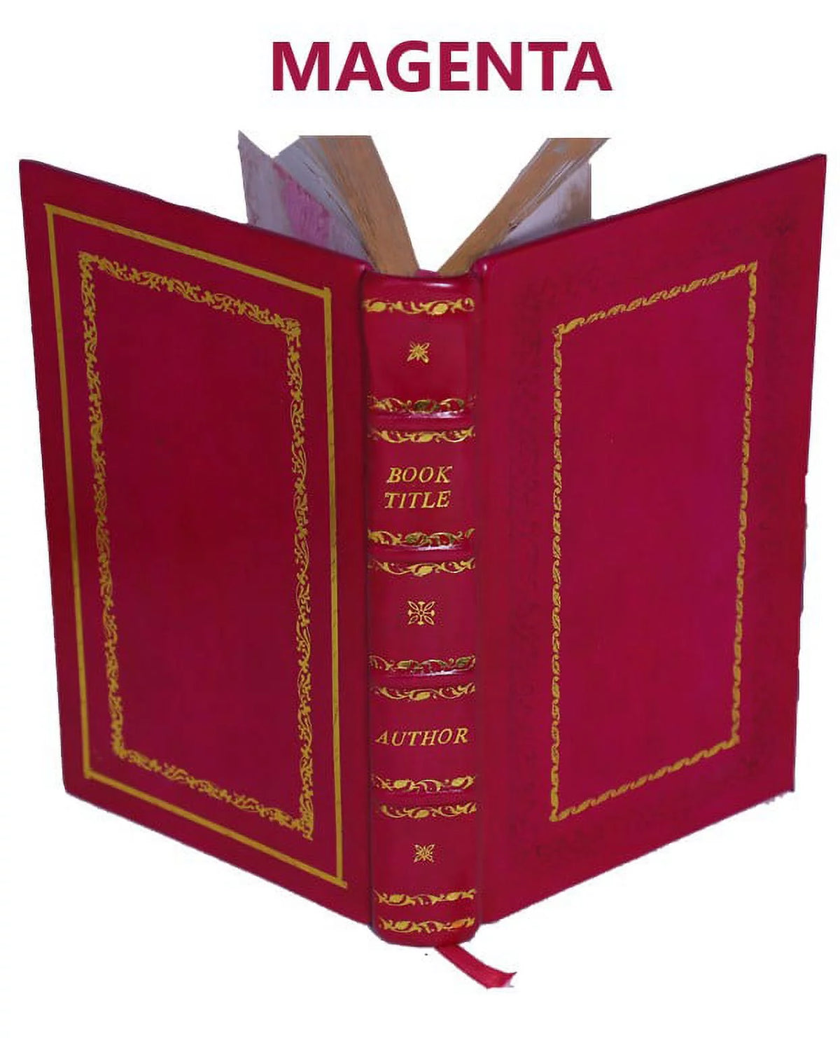 1913 Premium Leather Bound Book A96961