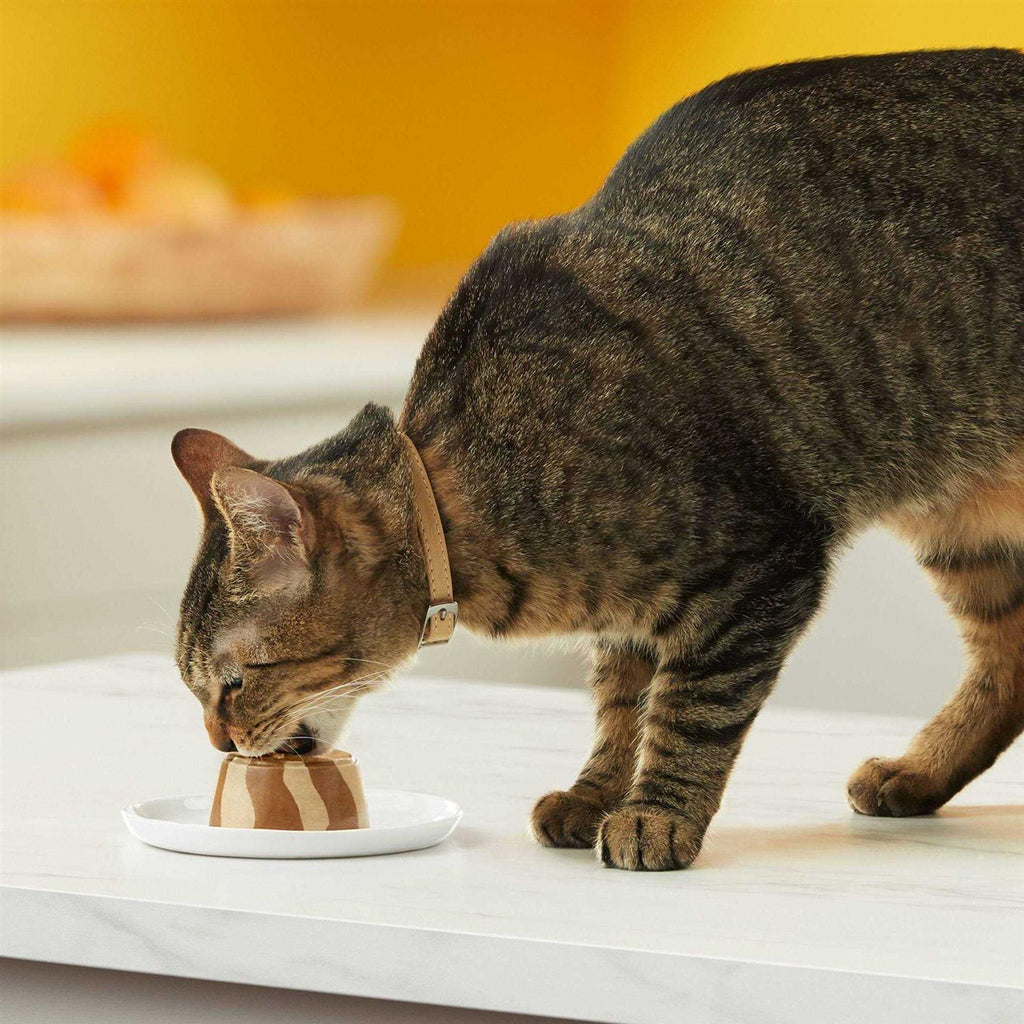 Cat Food B94847