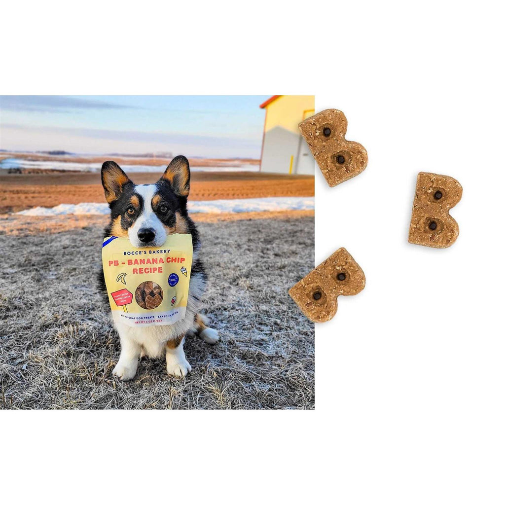 PB Banana Chip Soft & Chewy Dog Treats I528944