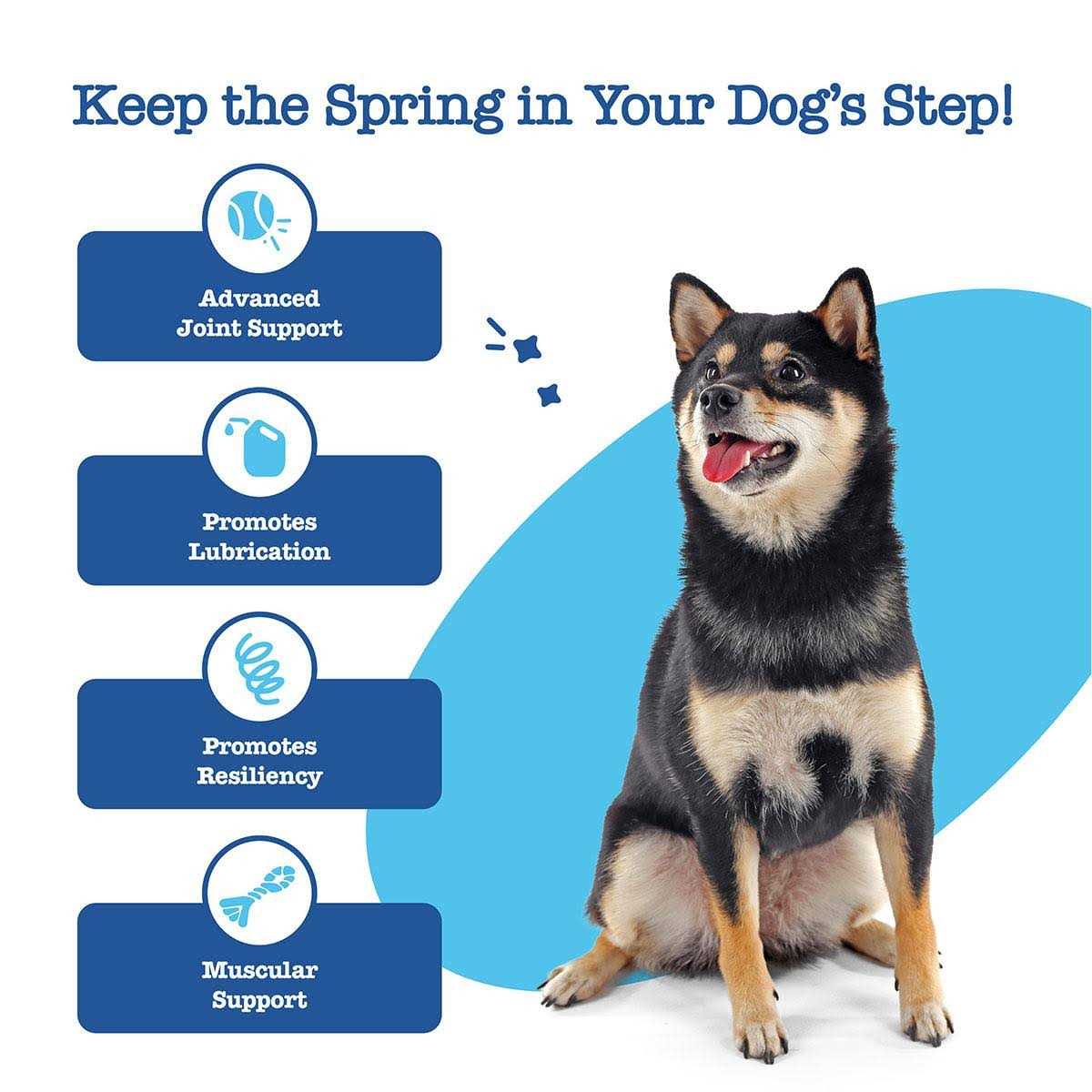 Advanced Hip Joint Mobility Bites for Senior Dogs Y767