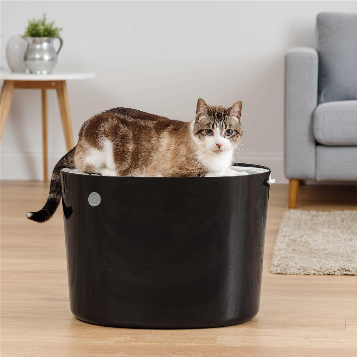 Top Entry Cat Litter Box with Scoop Q23658