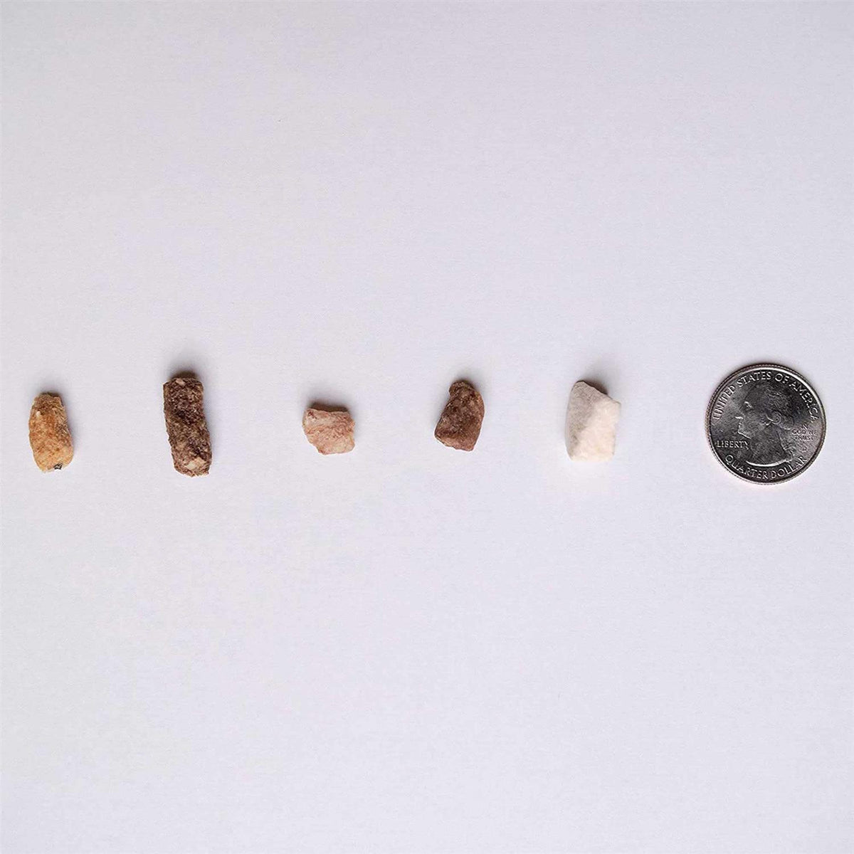 Freeze-Dried Beef Liver Dog Treats P266