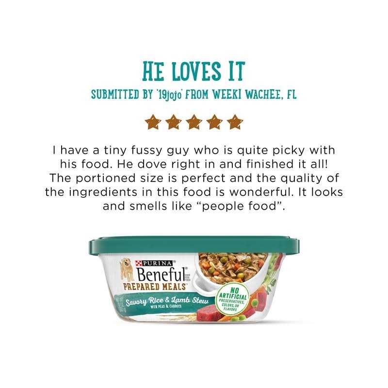 Savory Rice & Lamb Stew Wet Dog Food R741