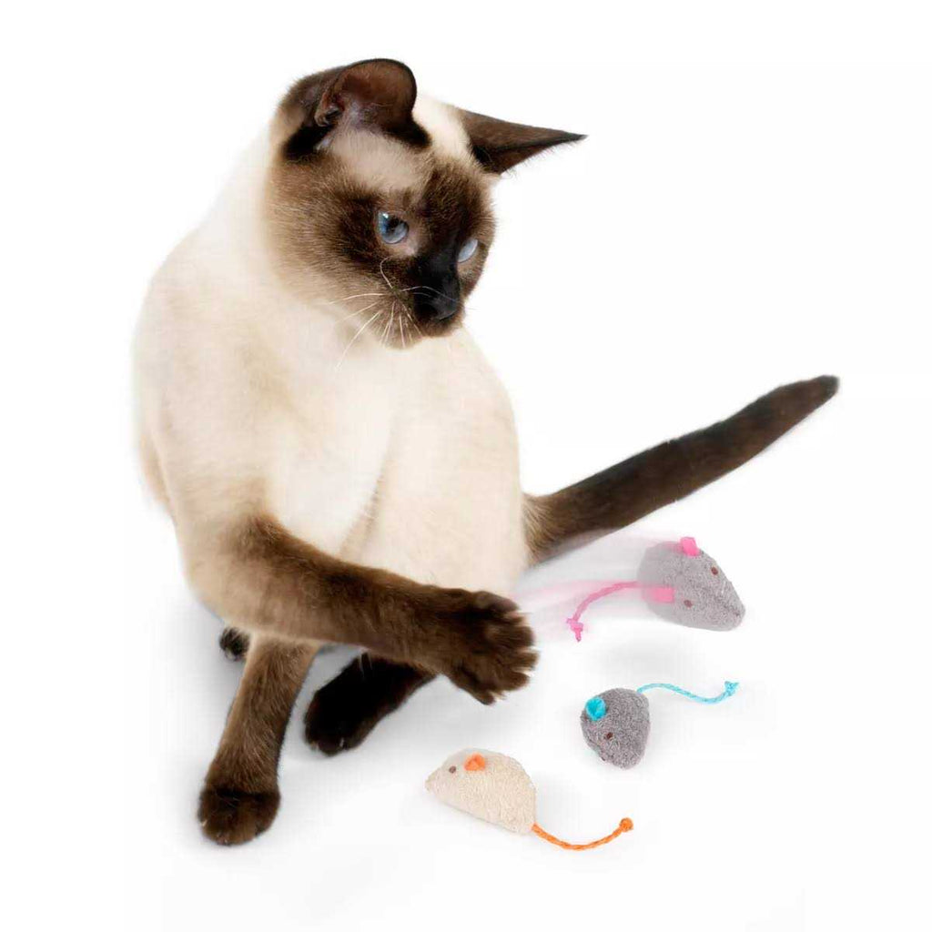 Catnip Toys Q227