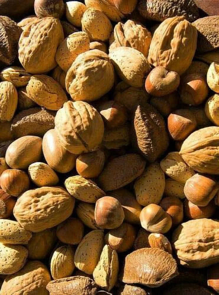 Raw In-shell Whole Mixed Nuts 2 LB D248
