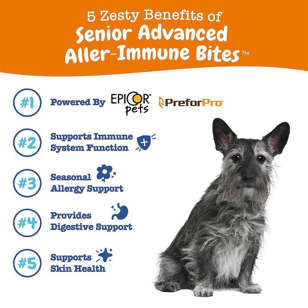 Senior Advanced Salmon Allergy & Immune Bites for Dogs N6306