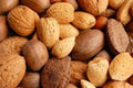 Raw In-shell Whole Mixed Nuts 2 LB D248