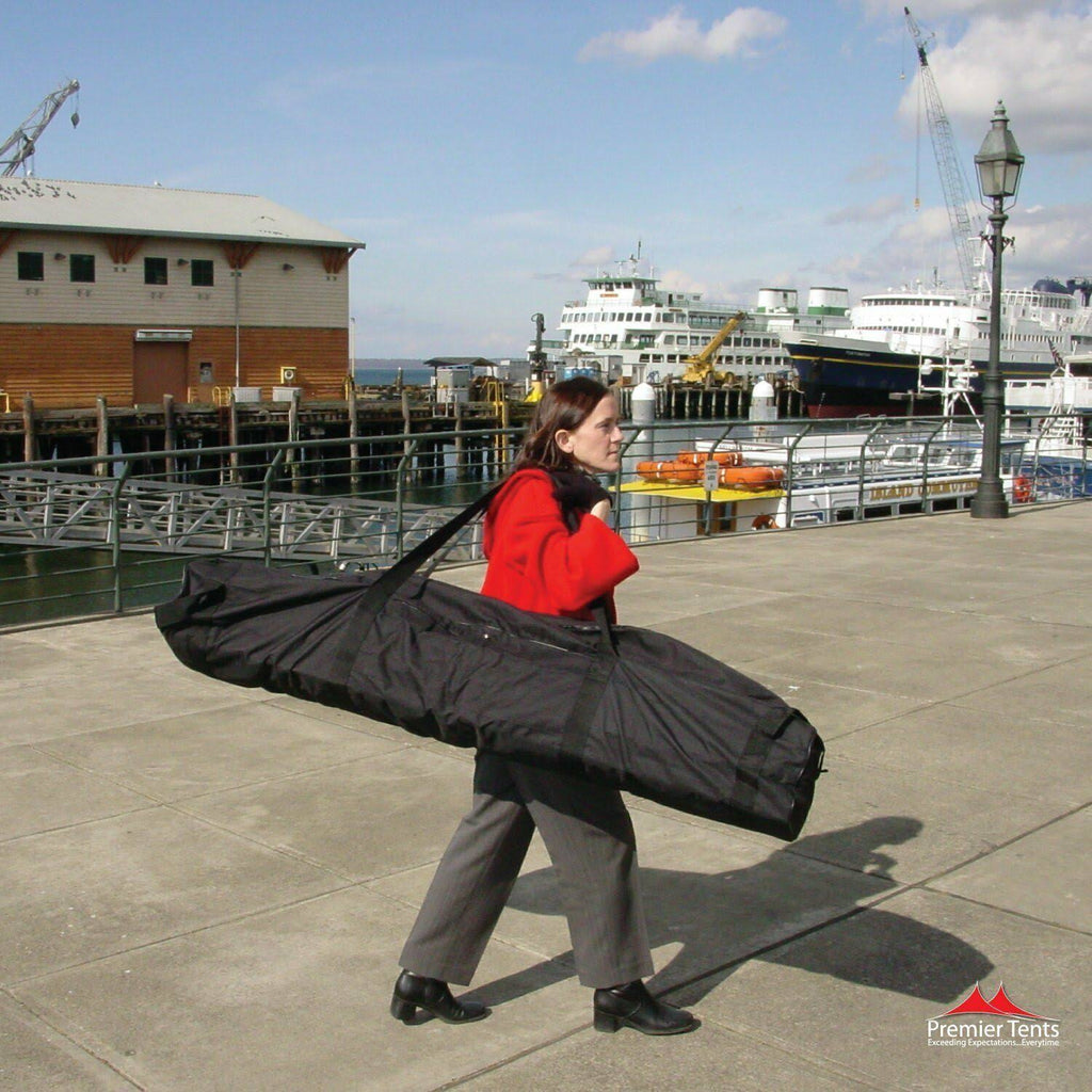 10x10 Canopy Carry Bag R5339