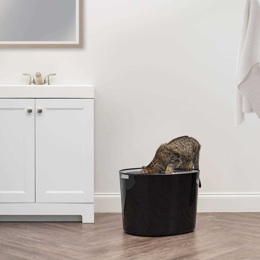 Top Entry Cat Litter Box with Scoop Q23658