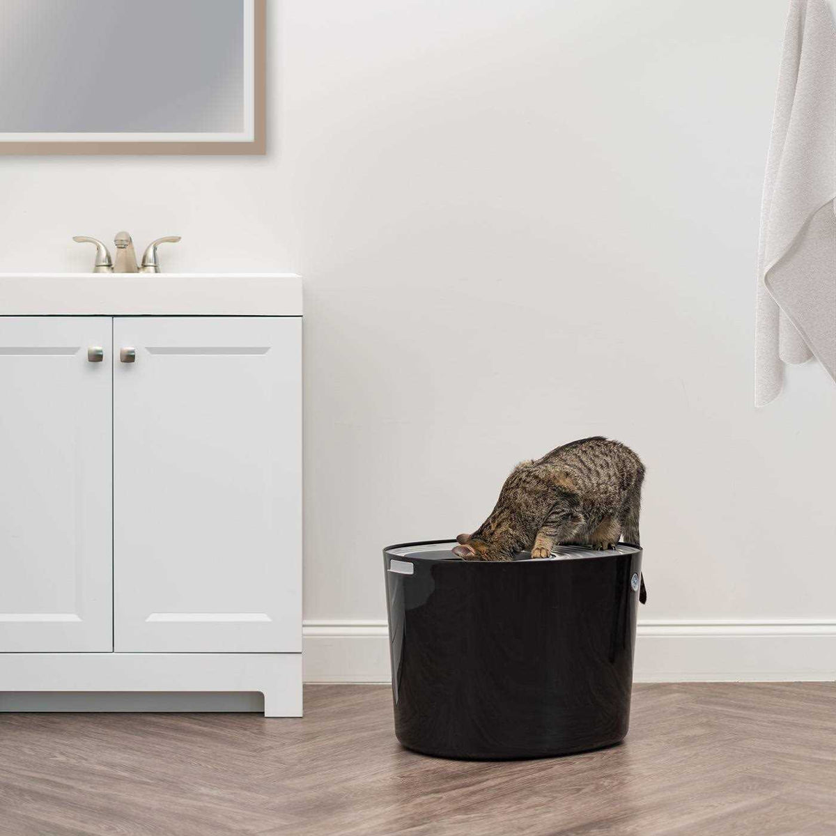 Top Entry Cat Litter Box with Scoop Q23658