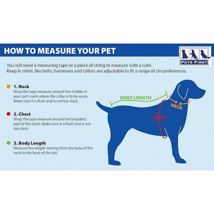 Dog Collar F81871