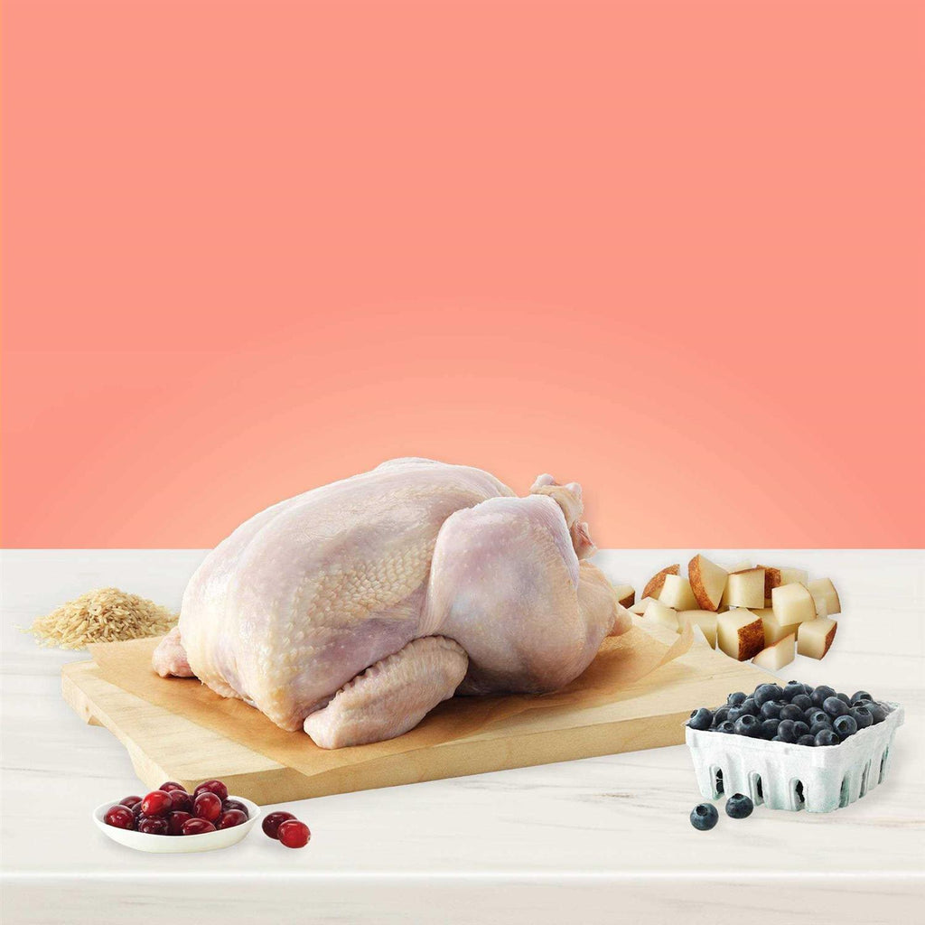 Healthy Weight Control Chicken Adult Dry Dog Food L546754