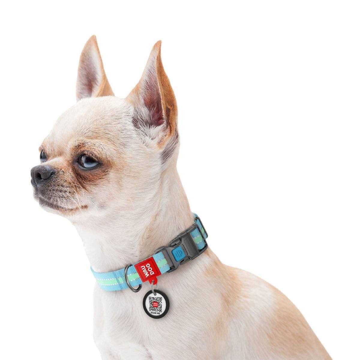 Glow in the Dark Nylon Dog Collar Blue C5915