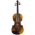 Solidwood Violin with D'Addario Prelude Strings Size 4/4 N542