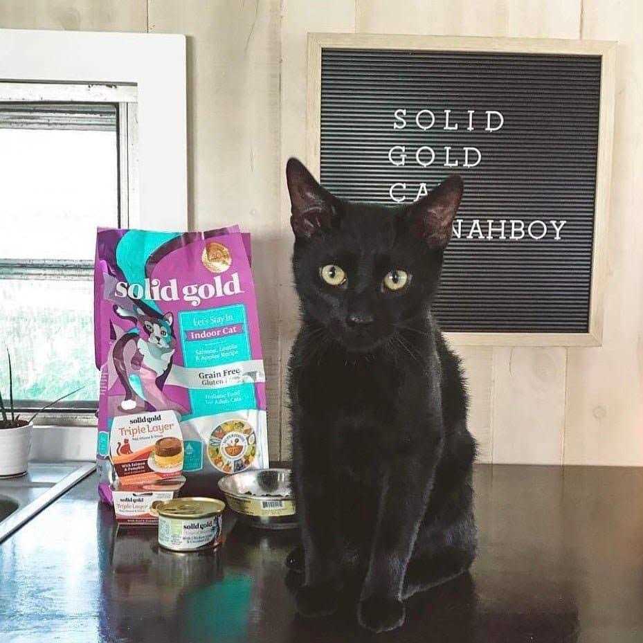 Solid Gold Indoor Lentil & Apple Recipe Grain-Free Dry Cat Food T462