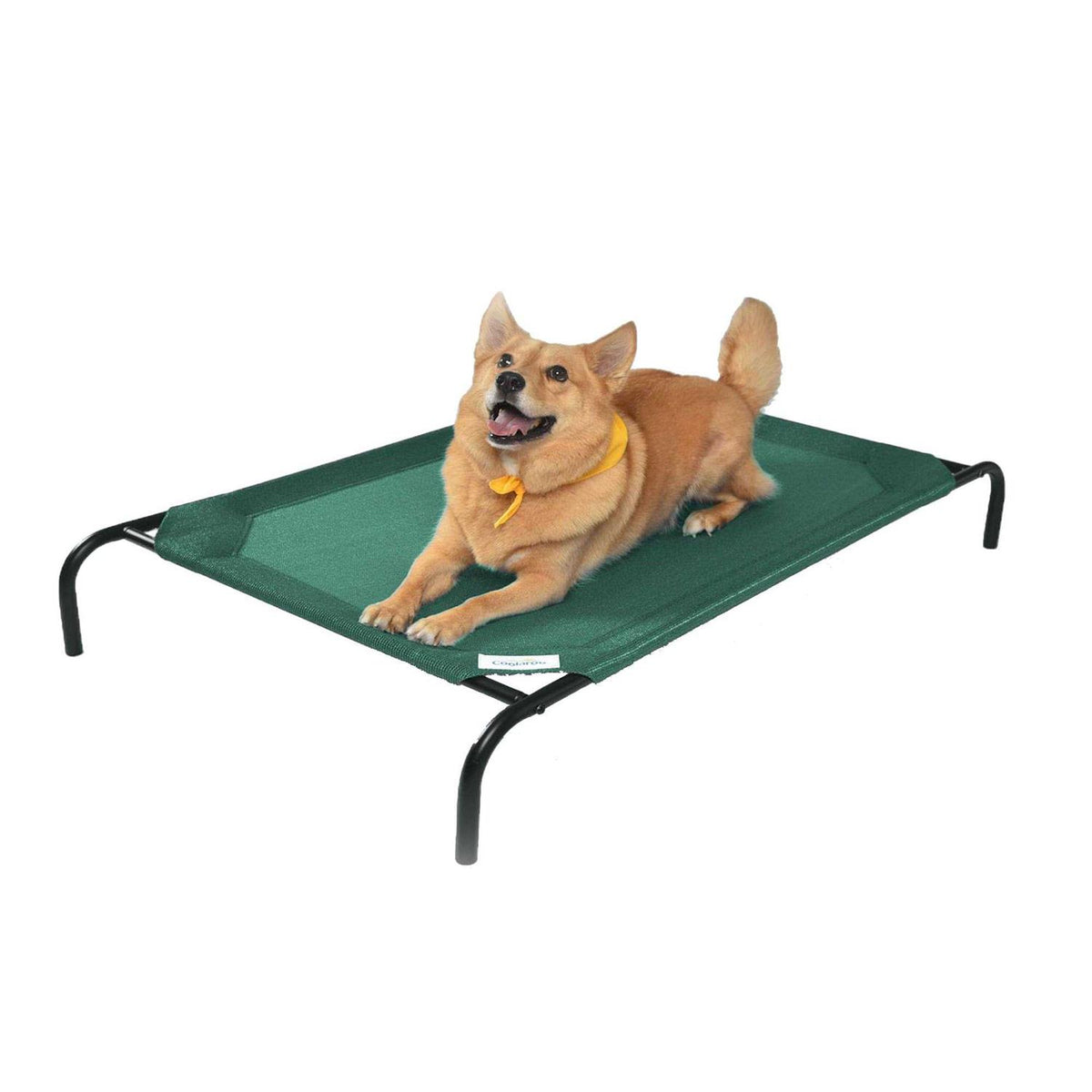 Elevated Pet Bed A717