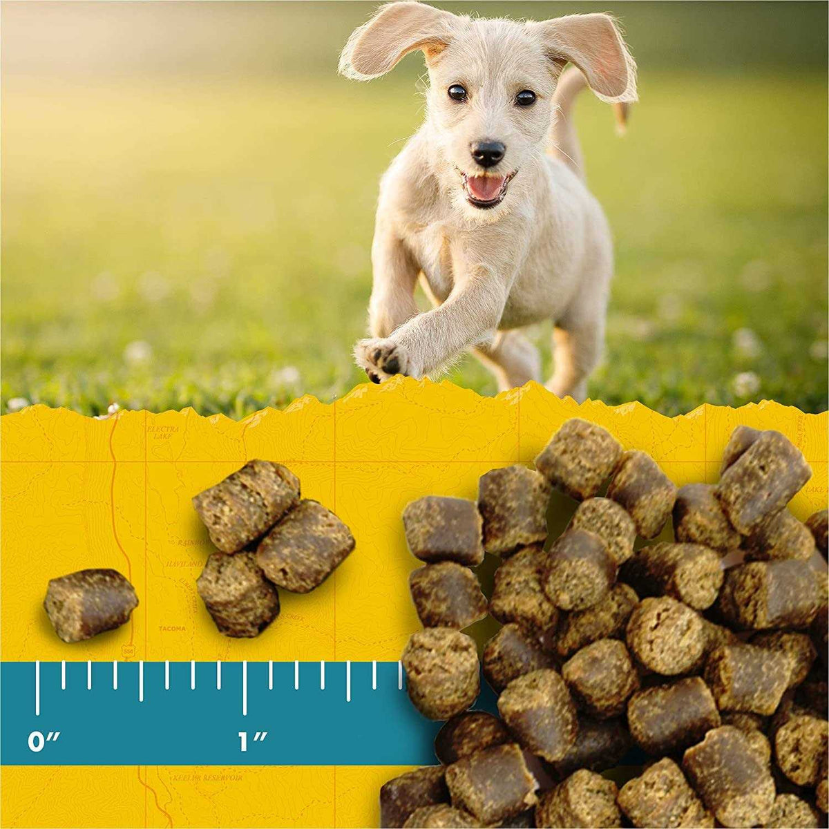 Chickpea Dog Treats Y46347